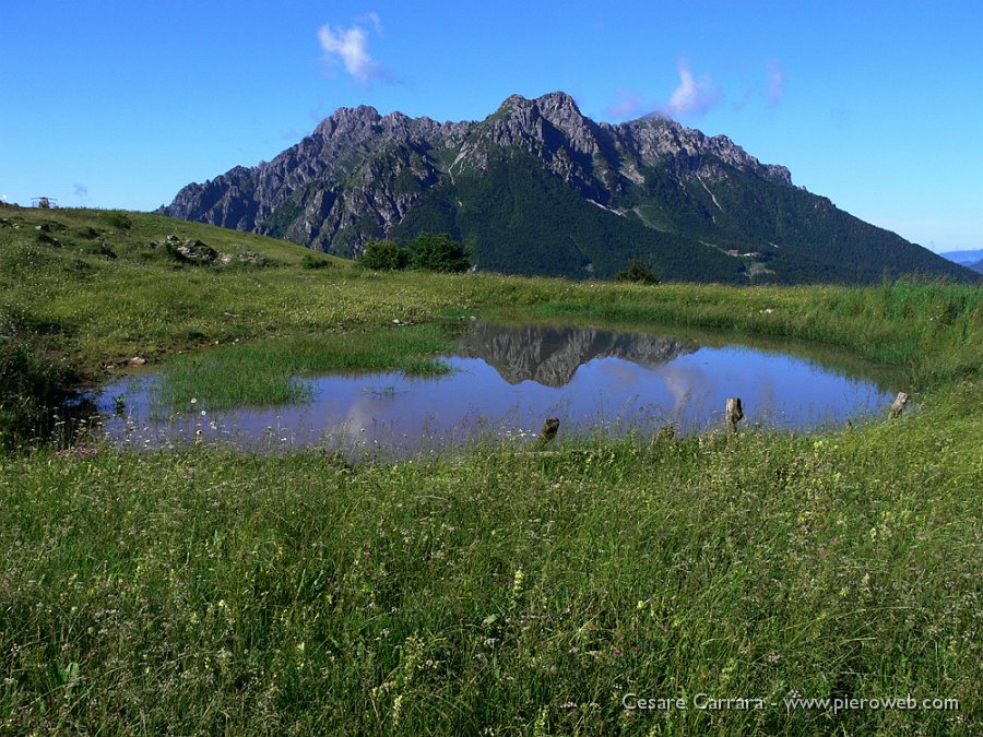 11-piccole perle di malga Zambla..jpg